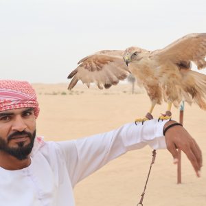 Sudsport-tournoi- Manchester city -Abu- D'habi